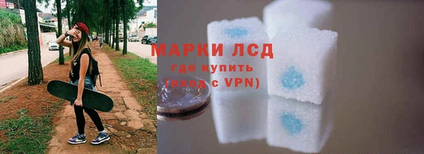 дживик Козельск