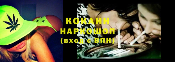 стафф Кодинск