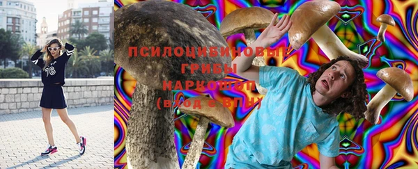 стафф Кодинск