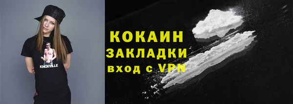 дживик Козельск