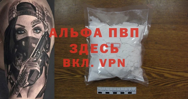 дживик Козельск