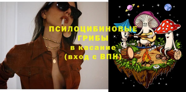 дживик Козельск