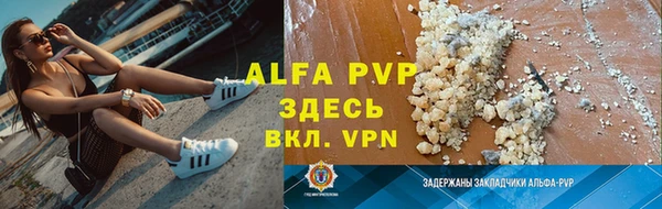 дживик Козельск