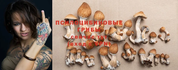 стафф Кодинск