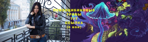 стафф Кодинск